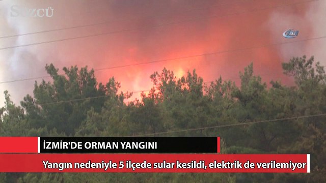 İzmir’de orman yangını