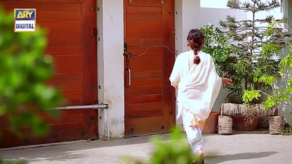 Dilli Walay Dularay Babu Ep 41 - 1st July 2017