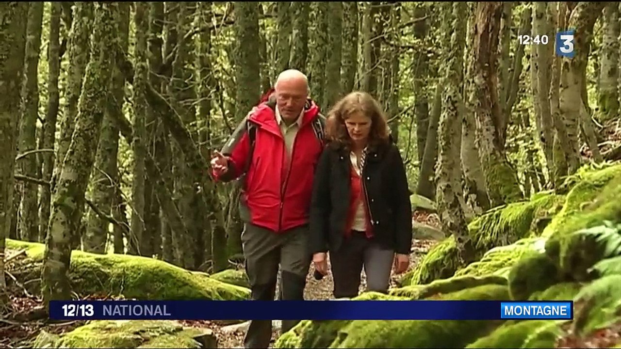 Agriculture : retour des aides européennes pour les bergers du Béarn