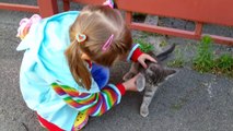 Amigos Queridas Kitty Daisy desempaquetar los juguetes a pie con un gato jugando con el daisy SEAL