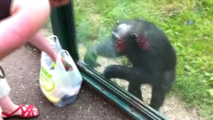 Bu Hareketi Hem Şaşırttı Hem Güldürdü