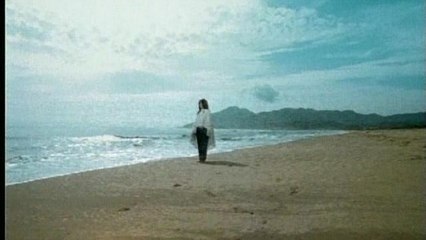 Valen Hsu - Zhen Ai Wu Di