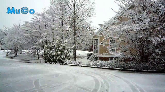 Antonio Vivaldi - The Winter (Four Seasons Classical - Dört Mevsim Kış HD) Mu©o