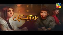 Woh Aik Pal Episode 17 HUM TV  1 July 2017