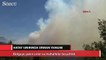 Mersin ve Suriye sınırında orman yangını
