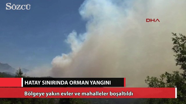 Mersin ve Suriye sınırında orman yangını