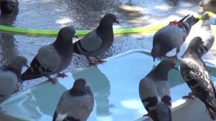 Mersin'de Sıcak Hava Bunalttı, Sahiller Doldu