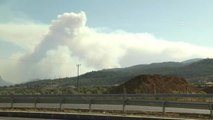 Izmir'deki Makilik ve Orman Yangını (2)