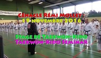 Grand stage technique du Cénacle 2016_clip version courte