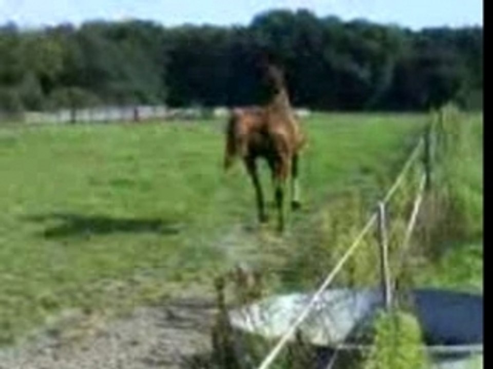 Réussite en liberté