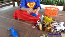 Trò Chơi Đi Săn Và Học Tên Các Con Vật ❤ AnAn ToysReview TV ❤