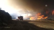 Bodrum Çöplüğünde Yangın - Yangın Ormanlık Alana Sıçradı (2)