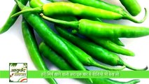 हरी मिर्च खाने वालो जरा एक बार ये वीडियो भी देख लो || Ayurved Samadhan ||
