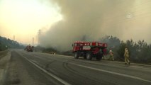 Izmir'deki Makilik ve Orman Yangını - Yangın Söndürme Çalışmaları Devam Ediyor