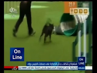 #أون_لاين | شاهد .. كلب يعرض مدربته لموقف محرج في أحد المسابقات