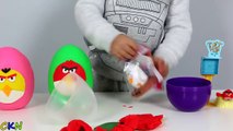 En colère des oiseaux Oeuf content repas pâte à modeler jouets tortues Mcdonalds surprise pokemon snoopy ninja m