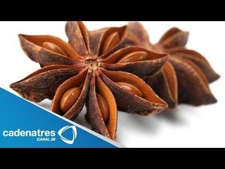 Los beneficios y propiedades del anís estrellado / Encuentro Interior