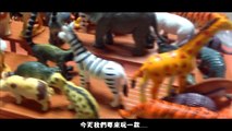 阿杰GAME實況 【桌遊介紹遊玩】 #002 迴旋路易 Looping Louie