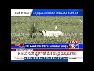 Kengeri Lake- Another Example Of Administration's Carelessness