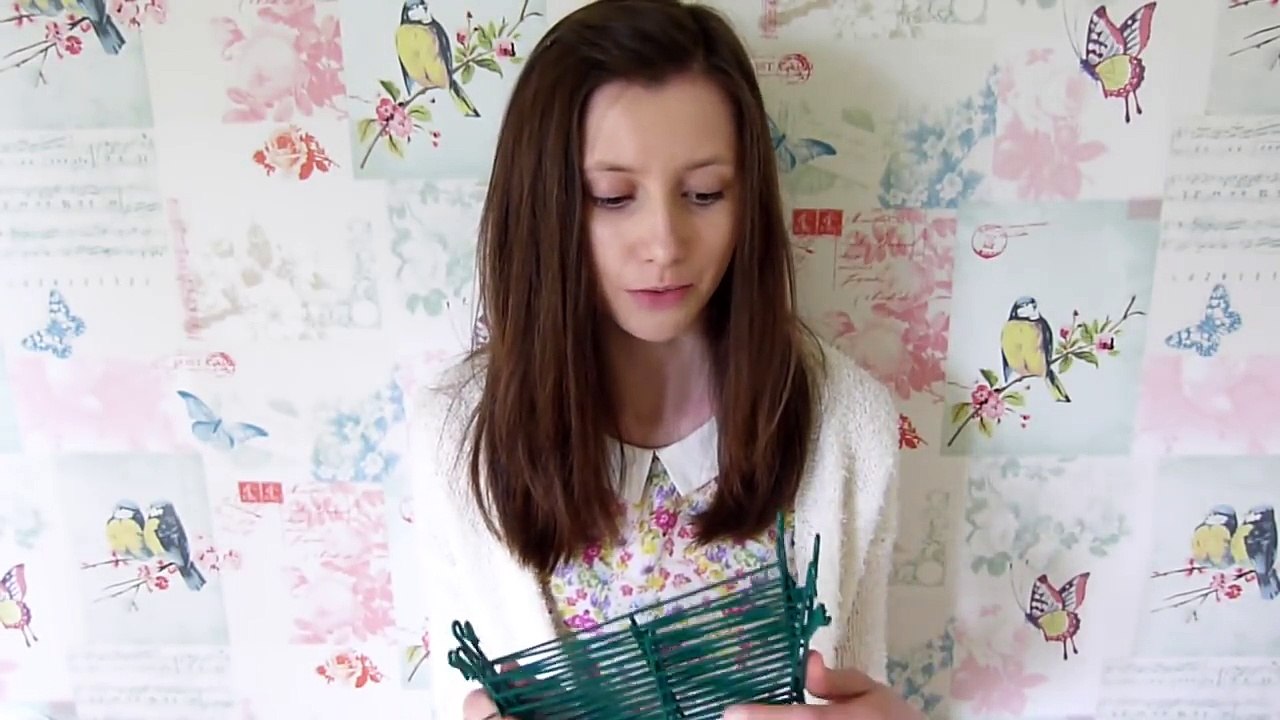 Hay Rack Options for Guinea Pigs