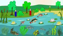 Niños para y historieta sobre un mundo de agua con una princesa sirena rana dibujos animados educativos