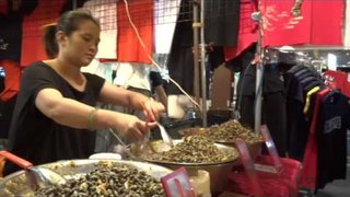 Explore a Taiwan Night Market with M13