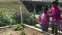 Girls` Community Garden Destroyed, Learn Lesson of Resilience