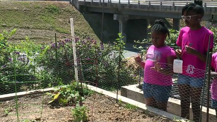 Girls` Community Garden Destroyed, Learn Lesson of Resilience