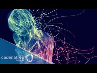 Conoce un poco más sobre las larvas astrales