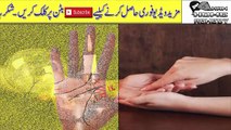 Palmistry Reader In Urdu Hindi || Palmistry Marriage Line Love Or Arranged