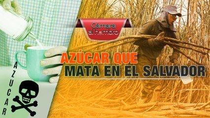 Cámara al Hombro - Azúcar que mata en El Salvador