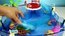 Sea Animals Toys and Swimming Puppies in the Playmobil Pool Slide Learn Sea Animal Names F