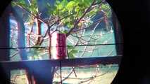 Backyard Sniper İ Body Shots