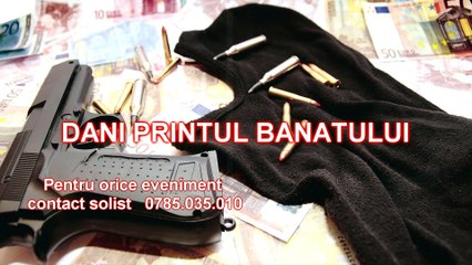 DANI PRINTUL BANATULUI - AM BRIGADA MARE █▬█ █ ▀█▀ 2017