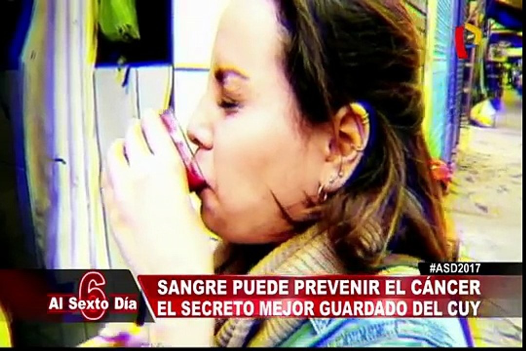 El secreto mejor guardado del cuy: su sangre puede prevenir el cáncer