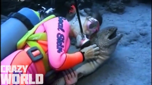 Si No Lo Hubieran Grabado Nadie Creeria Estos Hechos 2017 - Momentos Increíbles