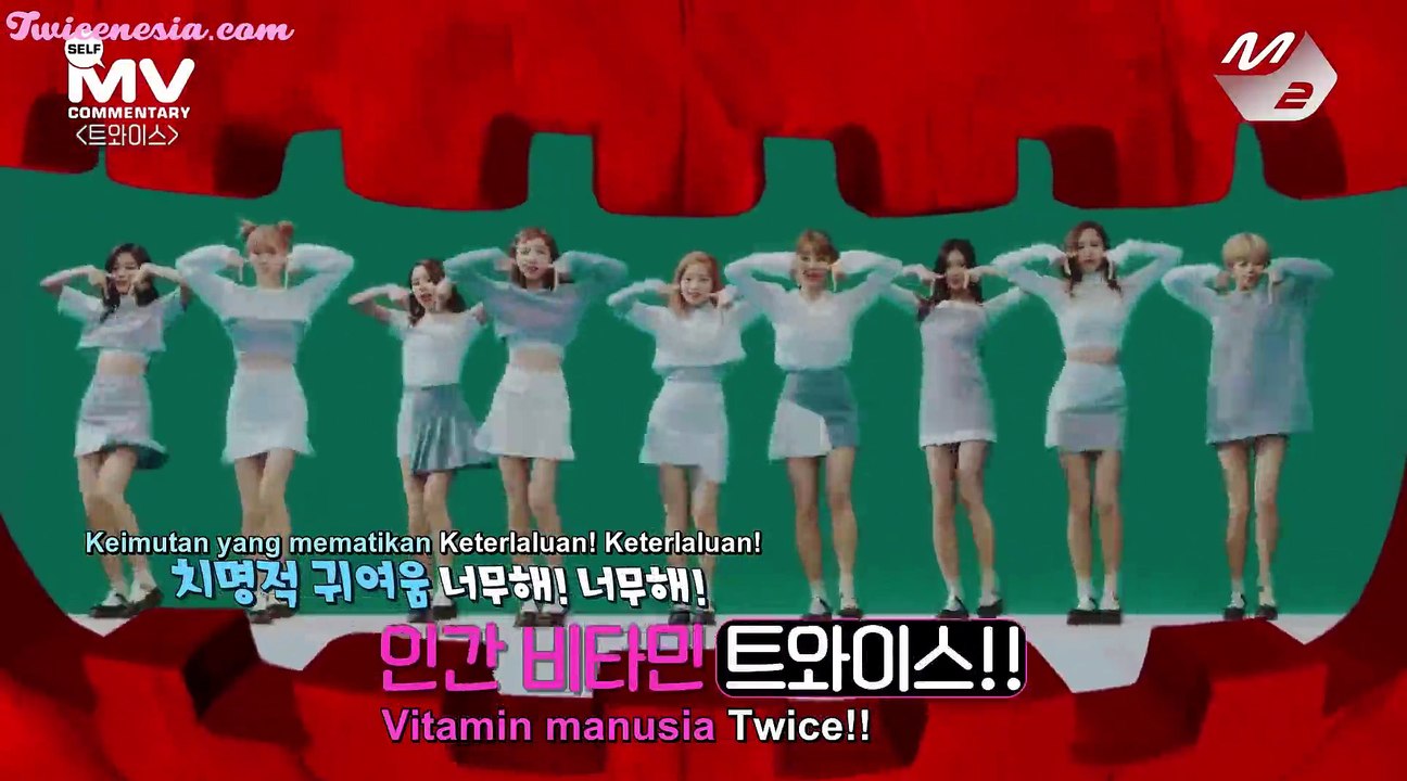 [INDO SUB] TWICE - TT MV Commentary