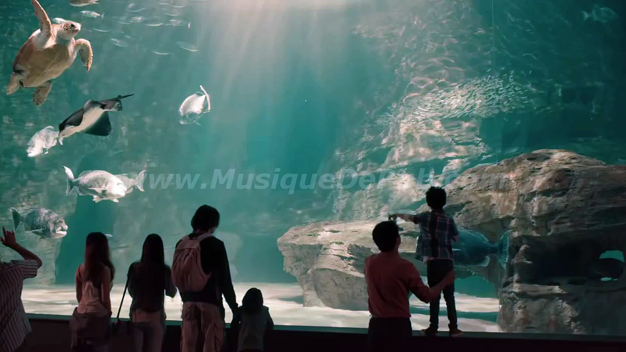 pub Michelin 'dans les moments qui comptent' 2017 [HQ]