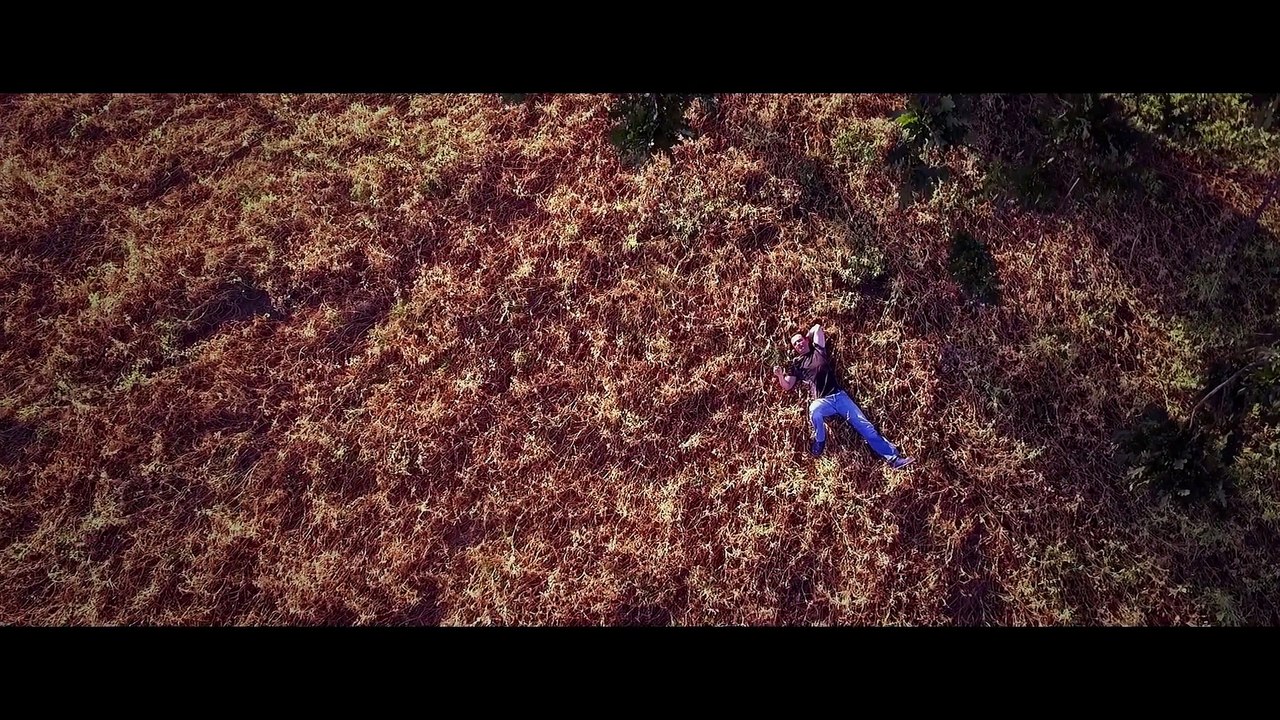 Nicolae Guta - Plec la mare [videoclip oficial] 2017