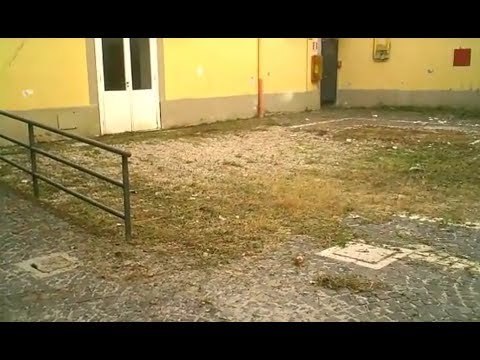 Aversa (CE) - Biblioteca: l'erbaccia tagliata in parte (01.07.17)