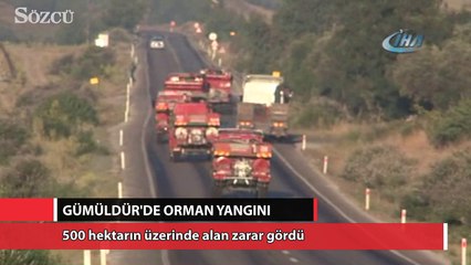 Gümüldür'de orman yangını