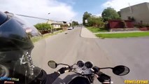 Dogs Attack Motorcycle Ride2344werwersdfist Rescues Dogs