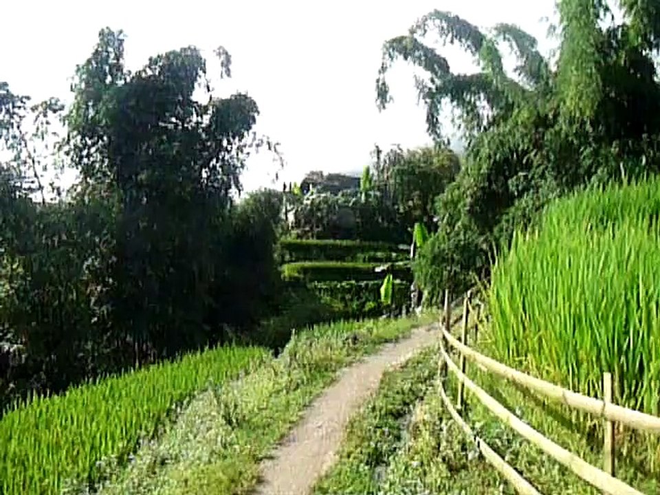 VOYAGE VIETNAM: Video de la région de Sapa, les rizieres