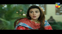 Woh Aik Pal Episode 17 HUM TV Drama - 1 July 2017(720p)