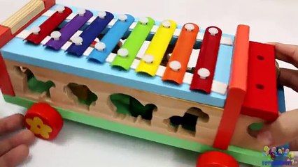 Learning Colors Shapes Sizes for Toddlers Children with Wooden Toys Educational Video Comp