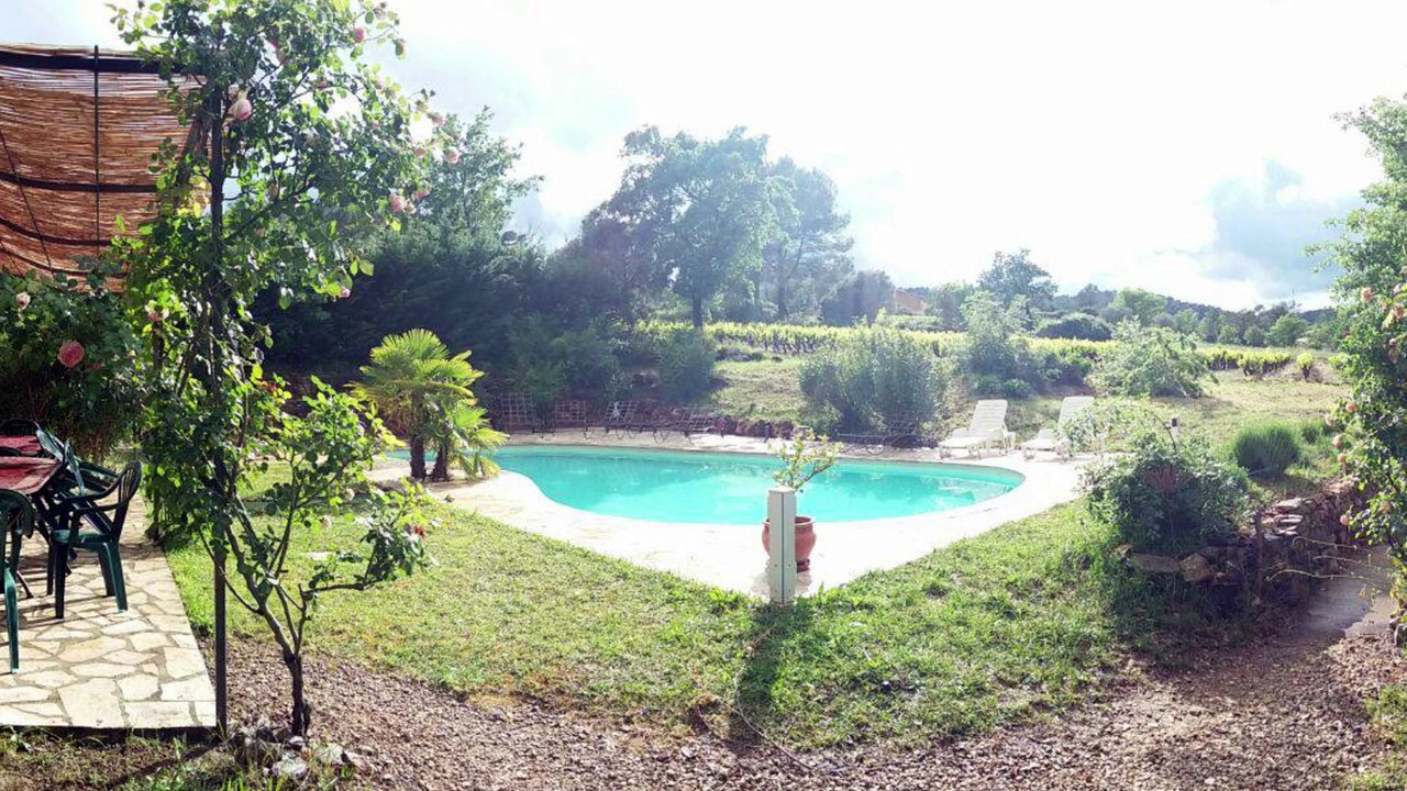 Les crapauds de retour dans le sud #laeti #23ans