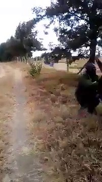 Yürü be kim tutar seni