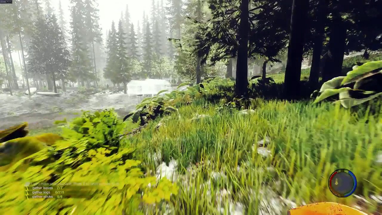 TheForest #1