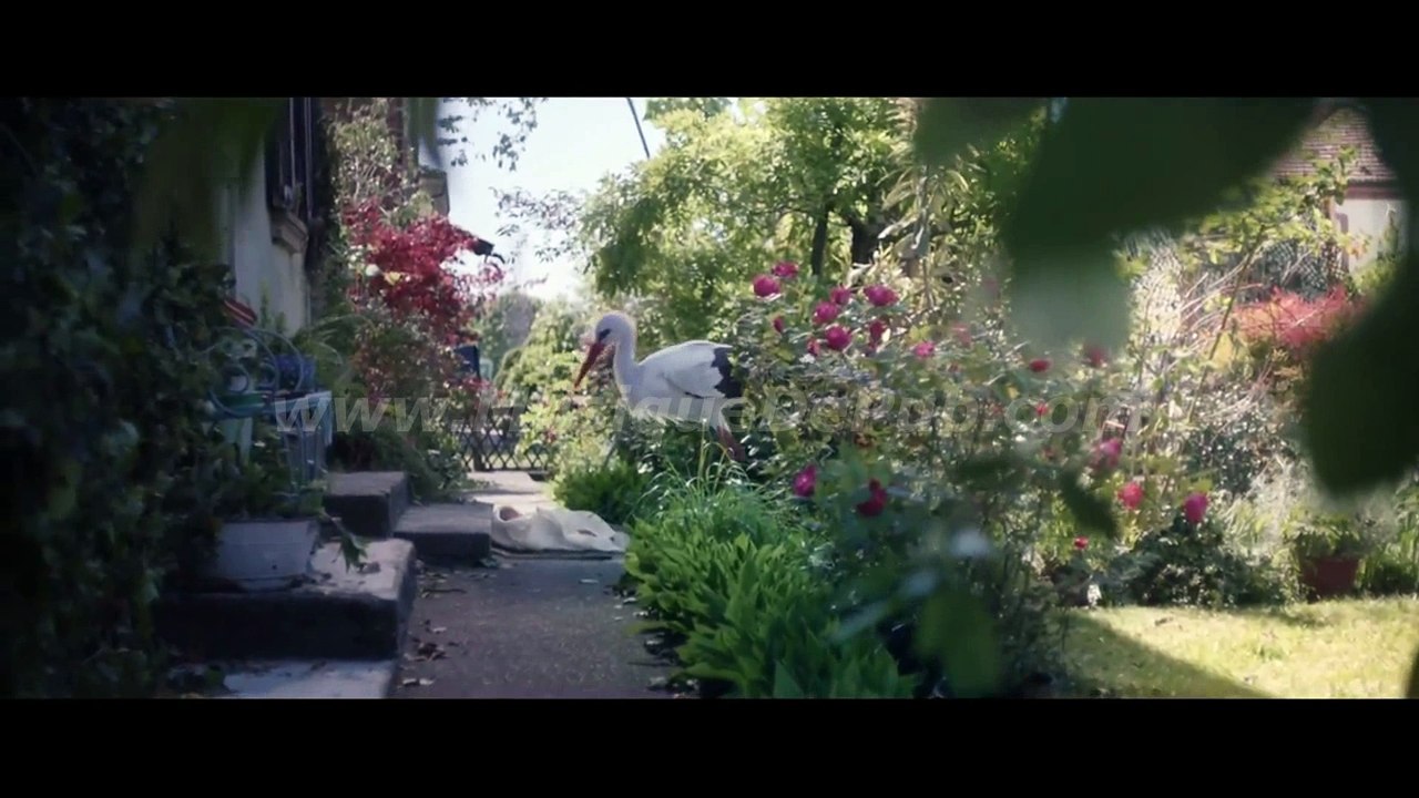 pub Fiat 500L 'cigogne' 2017 [HQ]