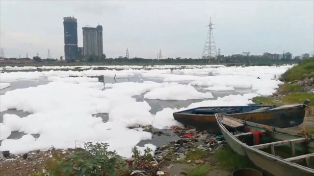 Video shows toxic foam floating on Yamuna river